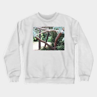 Madrona Lighted in the Park Crewneck Sweatshirt